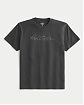 Moscow USA предлагает вам купить футболку Hollister черного(выцветшего) цвета с нашитым логотипом. Модель 07199. Доставка по России, Москве и области, самовывоз.