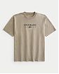 Moscow USA предлагает вам купить плотную мужскую футболку Hollister коричневого цвета с графикой Colorado Aspen. Модель 07852 . Доставка по России, Москве и области, самовывоз.