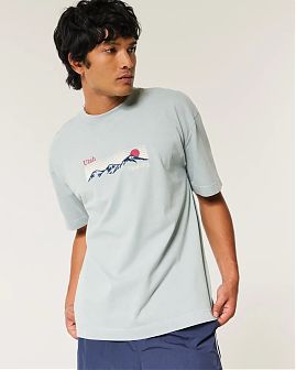 Плотная футболка Hollister