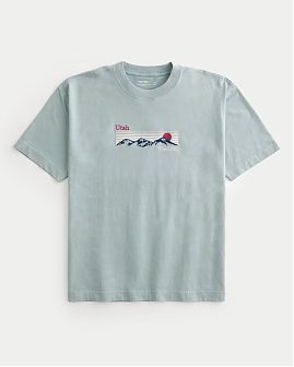 Плотная футболка Hollister