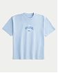 Moscow USA предлагает вам купить плотную мужскую футболку Hollister голубого цвета с нашитой графикой Сан-Диего. Модель 07845. Доставка по России, Москве и области, самовывоз.