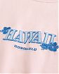 Moscow USA предлагает вам купить мужскую футболку Hollister с вышивкой «Honolulu, Hawaii», в плотной ткани и бокс-фите. Модель 07937. Бесплатная доставка по России, Москве и области, самовывоз.