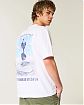 Мужская футболка Hollister белого цвета с принтами Тоттенхэм Хотспур на груди и спине. Оригинальная модель, бесплатная доставка и примерка по России.