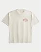 Мужская футболка Hollister светло-серого цвета с принтом Канкун Мексика из мягкого хлопка. Оригинальная модель 08173, бесплатная доставка и примерка по России