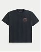 Мужская футболка Hollister черного цвета с эффектом варки и принтом Макдональдс Макриб спереди и на спине. Оригинальная модель 08162, бесплатная доставка и примерка по России.