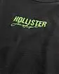 Moscow USA предлагает вам купить футболку Hollister черного цвета со светящейся надписью. Модель 05529. Доставка по России, Москве и области, самовывоз.