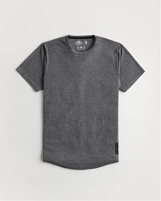 Moscow USA предлагает вам купить спортивную футболку Hollister серого цвета с нашивкой. Модель 06499. Доставка по России, Москве и области, самовывоз.