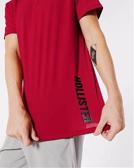 Футболка Hollister