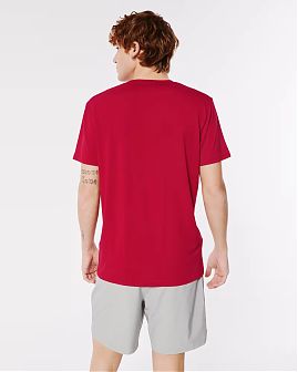 Футболка Hollister