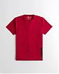 Moscow USA предлагает вам купить спортивную футболку Hollister красного цвета с нашитой надписью. Модель 06762. Доставка по России, Москве и области, самовывоз.