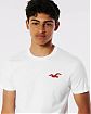 Moscow USA предлагает вам купить футболку Hollister белого цвета с нашитым логотипом чайкой. Модель 06601. Доставка по России, Москве и области, самовывоз.