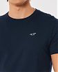 Moscow USA предлагает вам купить футболку Hollister темно-синего цвета с логотипом чайки на груди. Модель 06923. Доставка по России, Москве и области, самовывоз.
