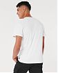 Moscow USA предлагает вам купить мужскую утолщенную футболку Hollister белого цвета. Модель 07070. Доставка по России, Москве и области, самовывоз.