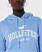 Женская толстовка с капюшоном разноцветная Hollister голубого цвета с нашитым белым логотипом. Модель 06518. Подробное описание и цена товара. Доставка по России, Москве и Области от Moscow USA