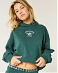 Женская толстовка с капюшоном Hollister зеленого цвета с графикой Telluride Colorado. Модель 07674. Подробное описание и цена товара. Бесплатная доставка по России, Москве и Области от Moscow USA