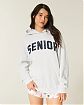 Женская толстовка Hollister с вышивкой Senior светло-серого цвета. Оригинальная модель 08088, бесплатная доставка и примерка по России.