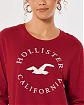 Женская футболка Hollister красного цвета с белой графикой. Модель 06599. Доставка по России, Москве и Области от Moscow USA