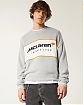 Moscow USA предлагает Вам купить мужской серый свитер Hollister с официальной вышивкой McLaren. Модель 07752. Бесплатная доставка по России, Москве и области, самовывоз.