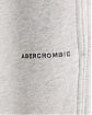 Moscow USA предлагает Вам купить спортивные повседневные штаны Abercrombie Fitch светло-серого цвета с небольшим нашитым лого. Модель 06909. Доставка по России, Москве и области, самовывоз.